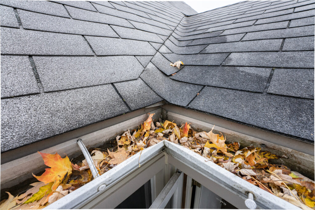 signs that your gutters need to be cleaned; leaves in the gutters