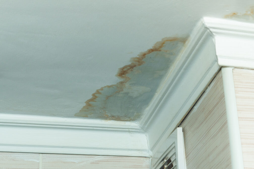 leaking roof leaves wet spot on ceilings