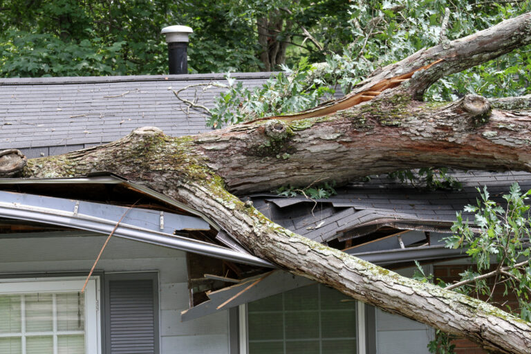tree limb on roof; emergency roof repair in northwest indiana; emergency roof repair in portage; emergency roof repair in valparaiso