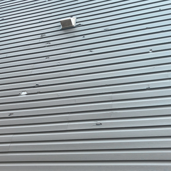 blistering siding