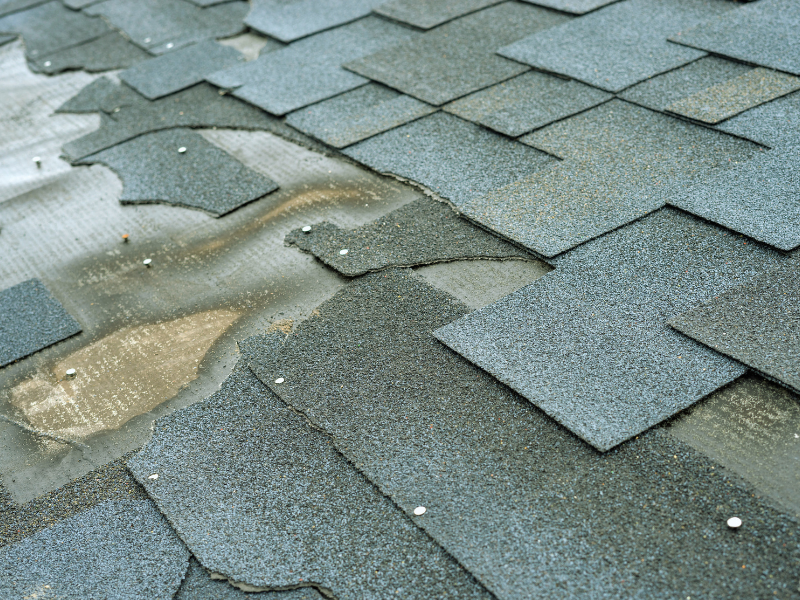 damaged shingles