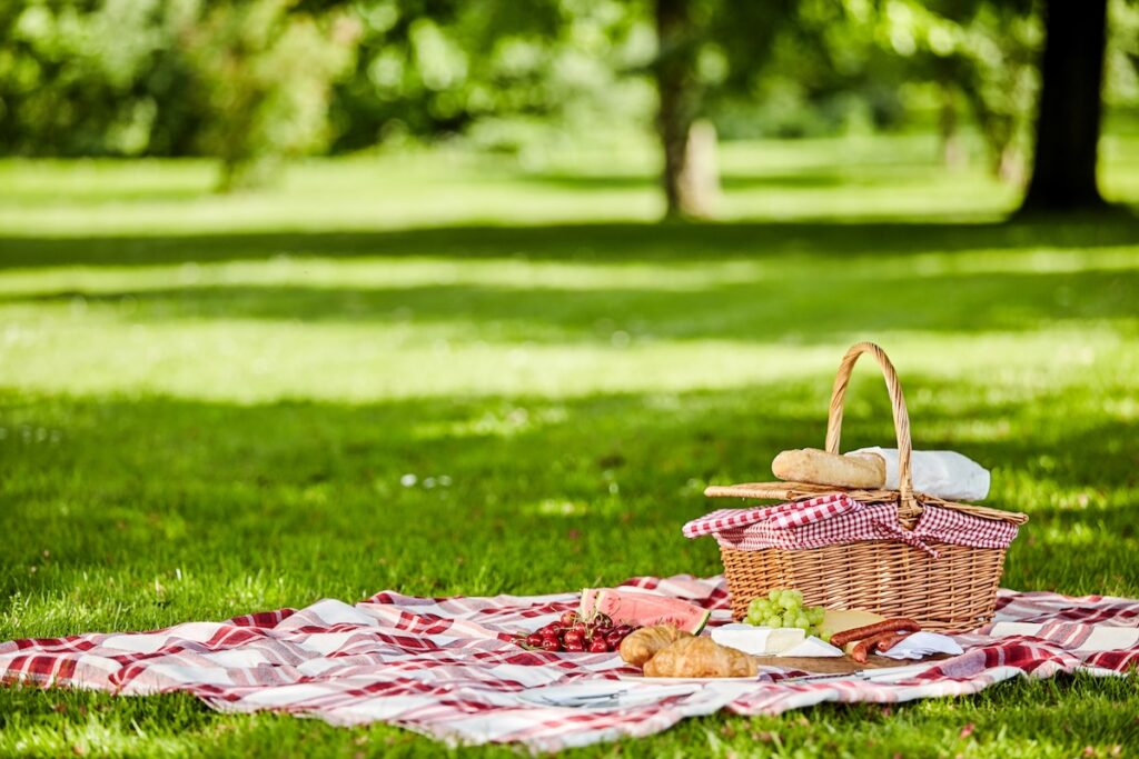Delicious picnic spread with fresh fruit, bread, spicy sausage and cheese spread out on a red and white checkered cloth in a lush spring park