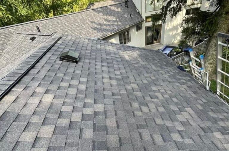 shingle roof