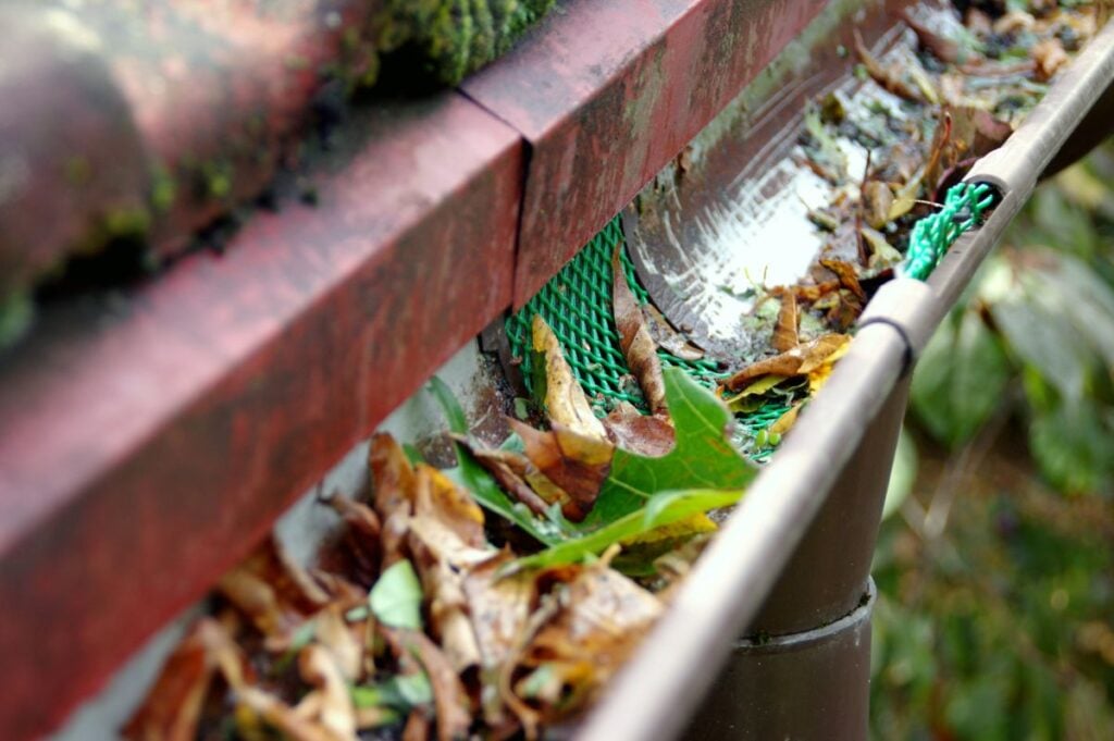 gutter guard with leaves