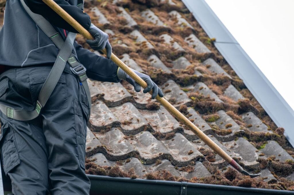 moss on roof worker using tool cleaning