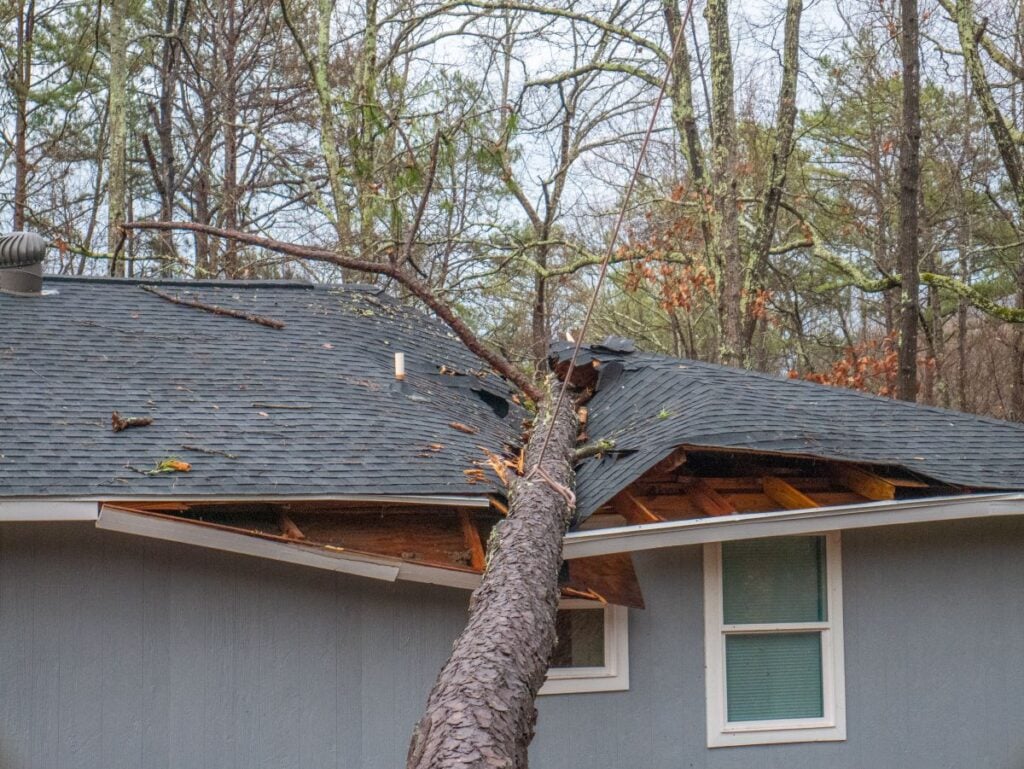 roof warranty tree destroyed house after storm