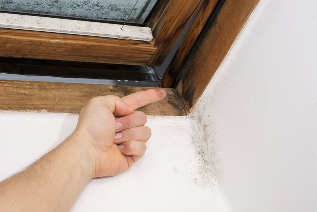 roof ventilation black moisture in attic wood