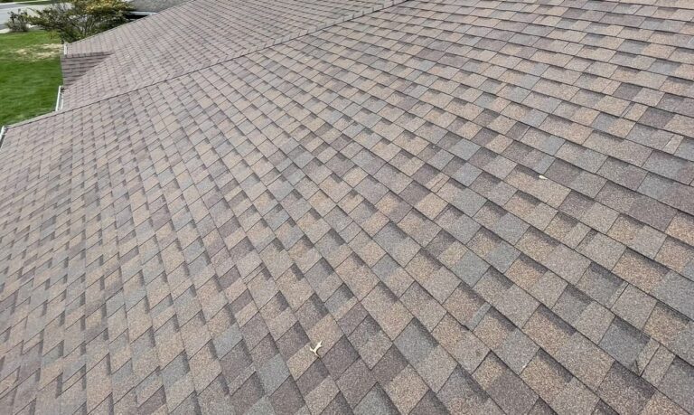 asphalt shingle roof