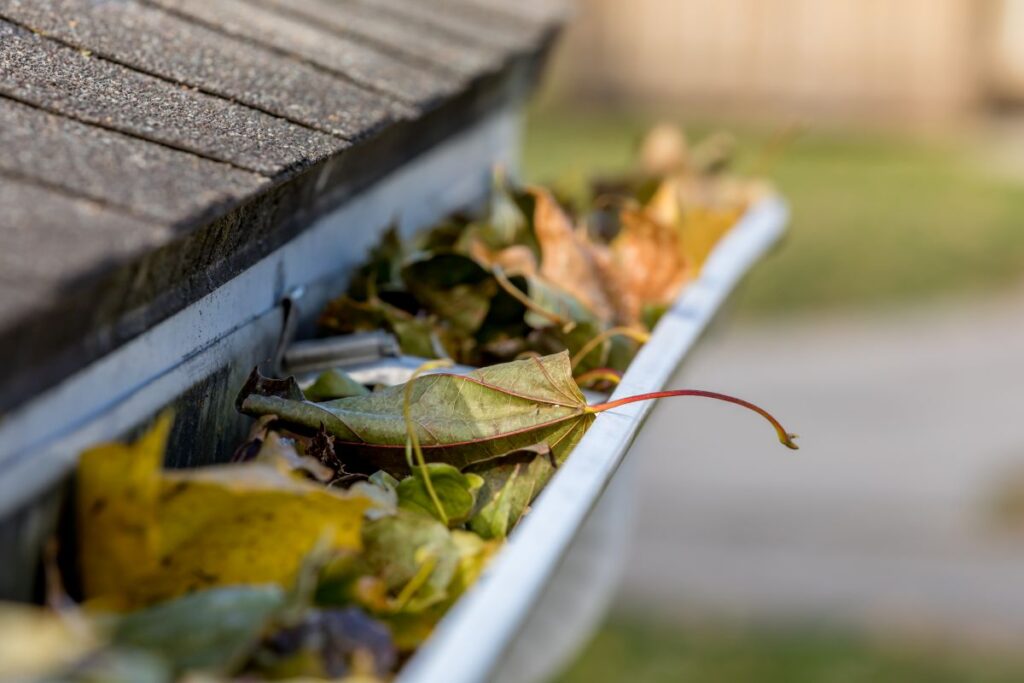 Closeup of house rain gutter clogged with colorful leaves fall from trees in fall