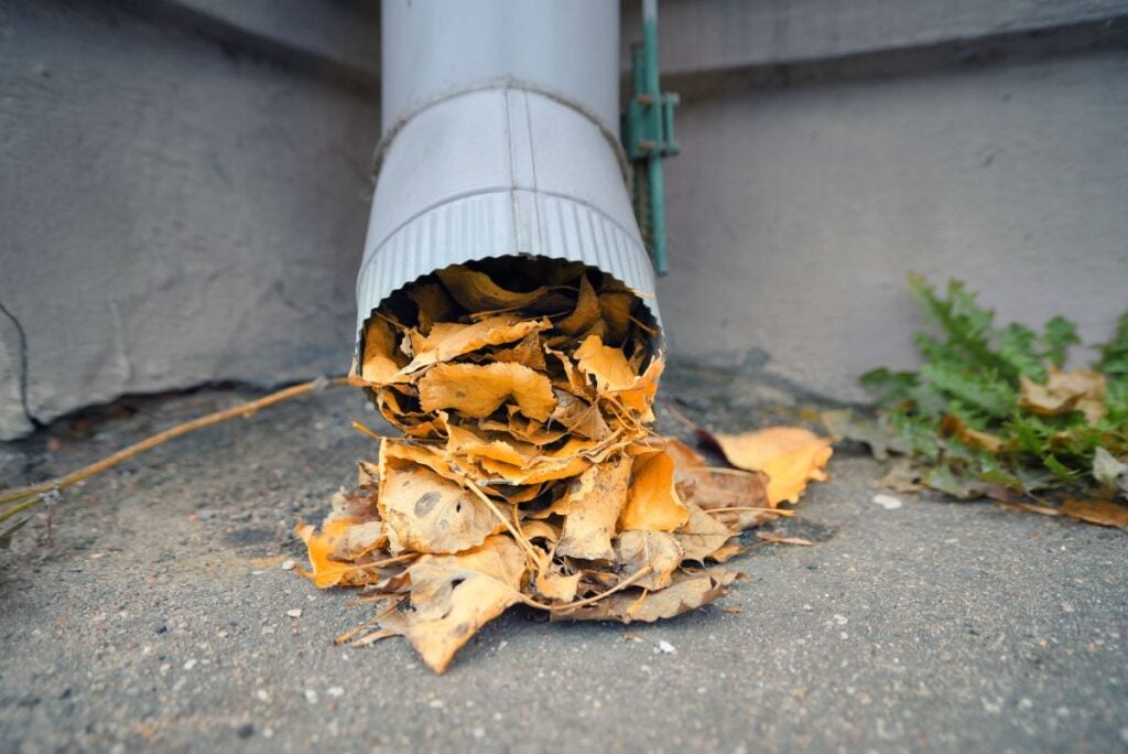 Сlogged gutter with leaves blocking the downspout
