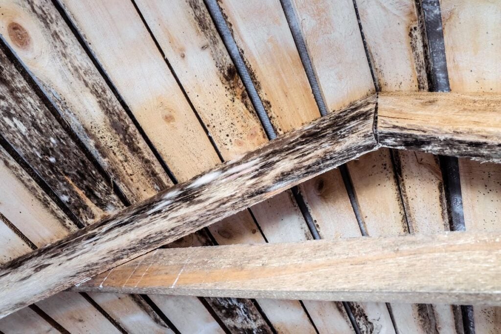 signs of poor attic ventilation mold on wood structure
