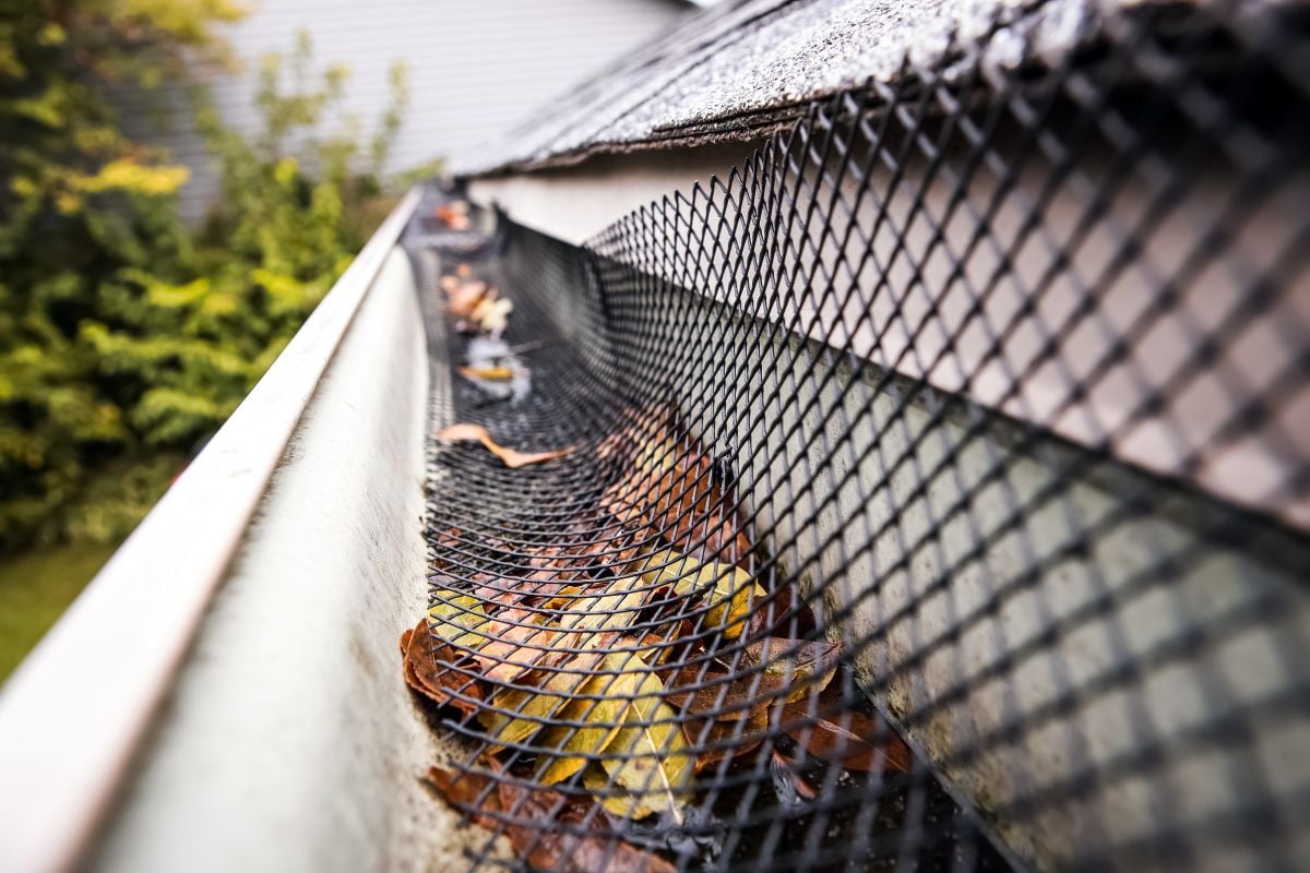 gutter guard types filled with leaves and dust