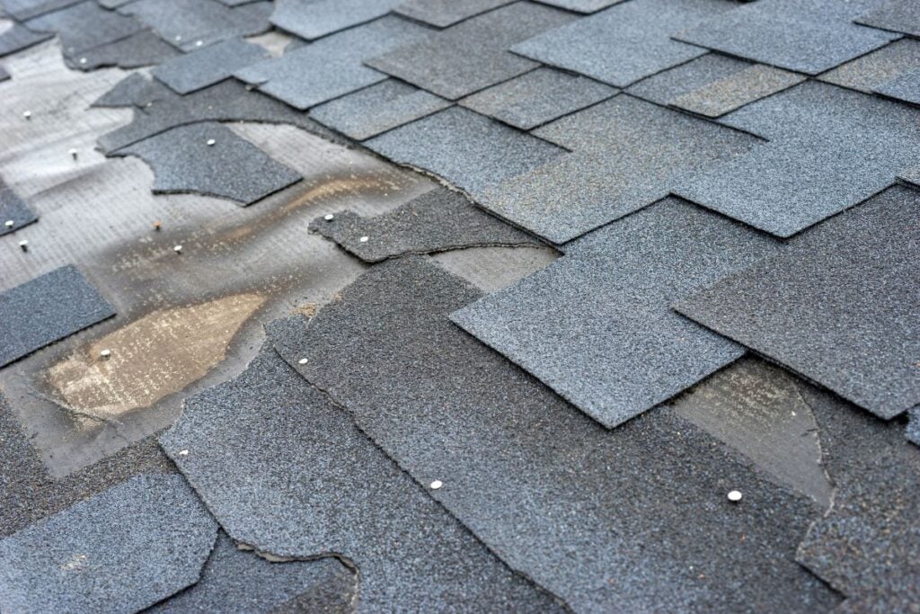 damaged shingles blue shingle granule loss