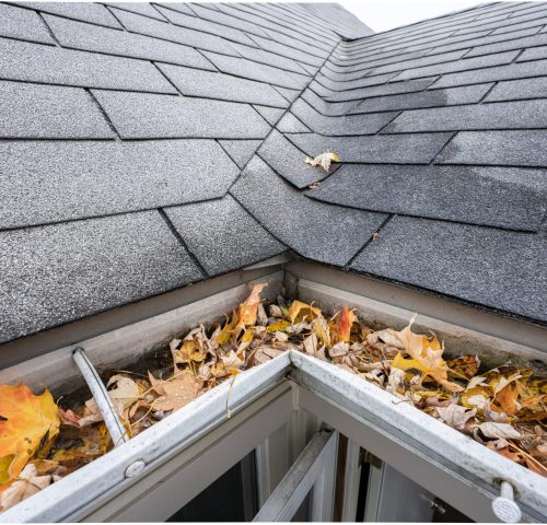 gutters are full of fall leaves and must be cleared signs that your gutters need to be cleaned; leaves in the gutters