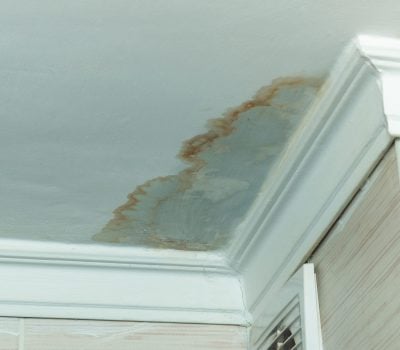 leaking roof leaves wet spot on ceilings
